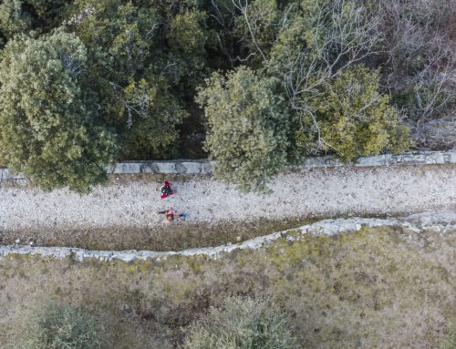 ASICS MALCESINE BALDO TRAIL 2022 Less plastic more fan. A green event… this weekend
